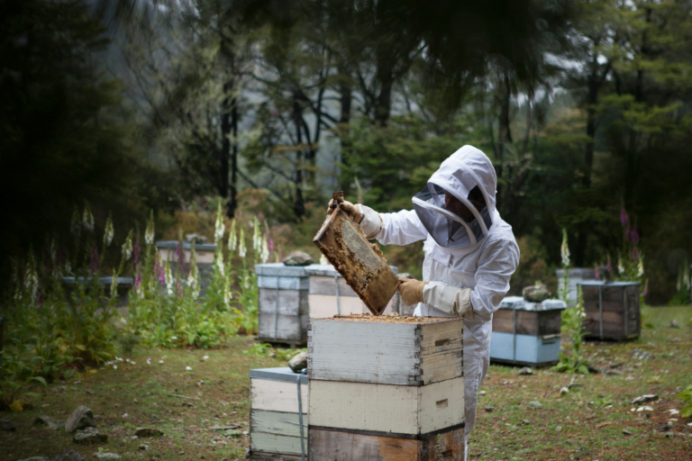 Sustainable Beekeeping